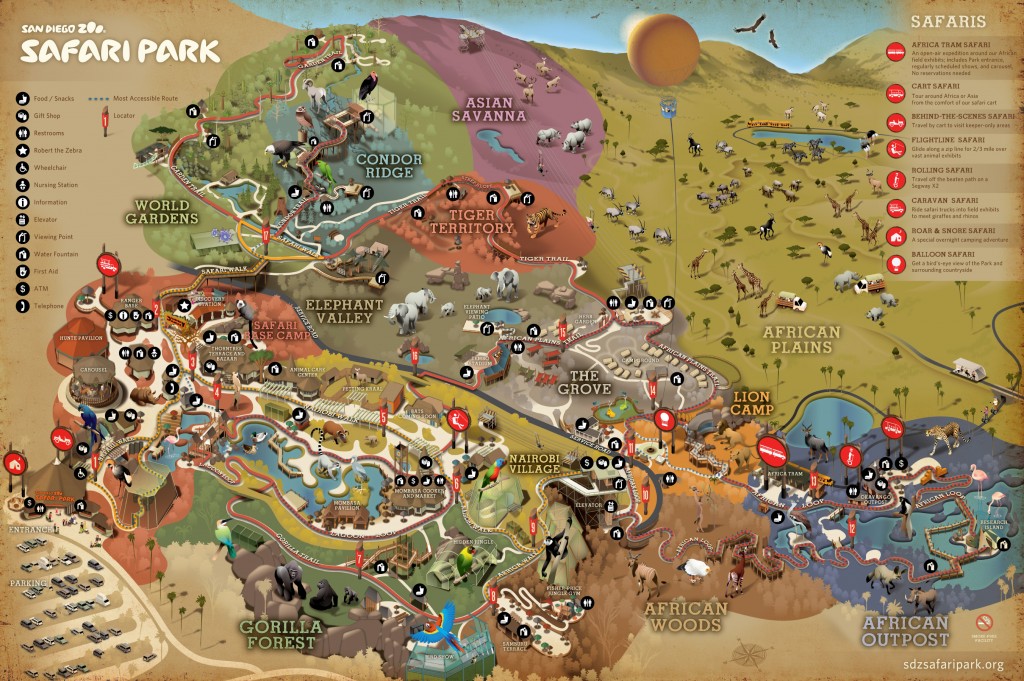 San Diego Zoo Safari Park（サンディエゴサファリパーク） アメリカで10倍うまく立ち回る方法