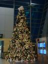 dsc00460.JPG