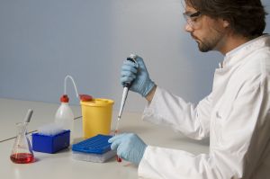 803092_lab_work1.jpg