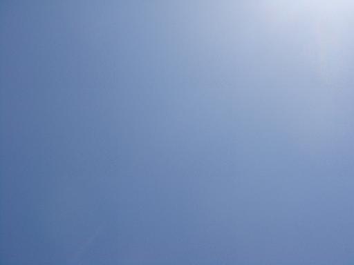 dsc03516.JPG