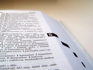 892244_dictionary.jpg