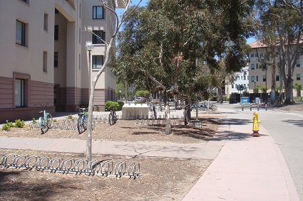 DSC06335 カリフォルニア大学サンタバーバラ