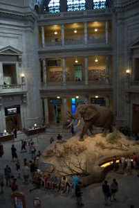 アメリカ国立自然史博物館