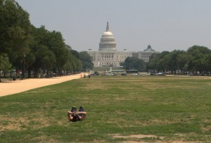 Capitol
