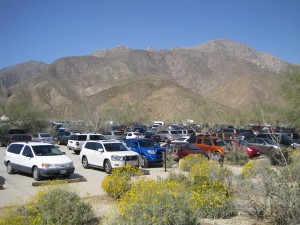 IMG_5234