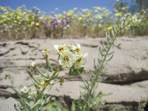 IMG_5280