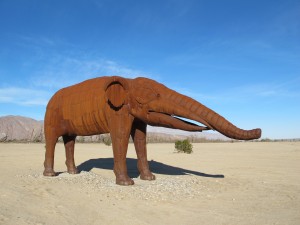 IMG_5656