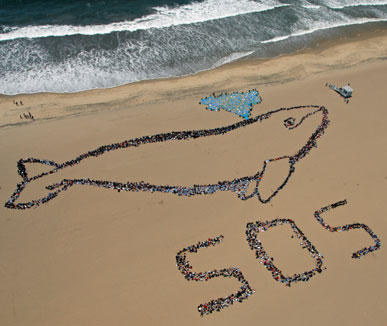 Ocean-Day-2007