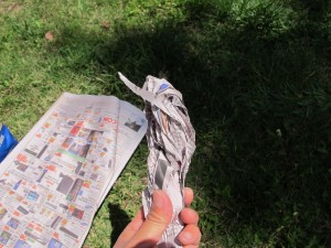 IMG_1133