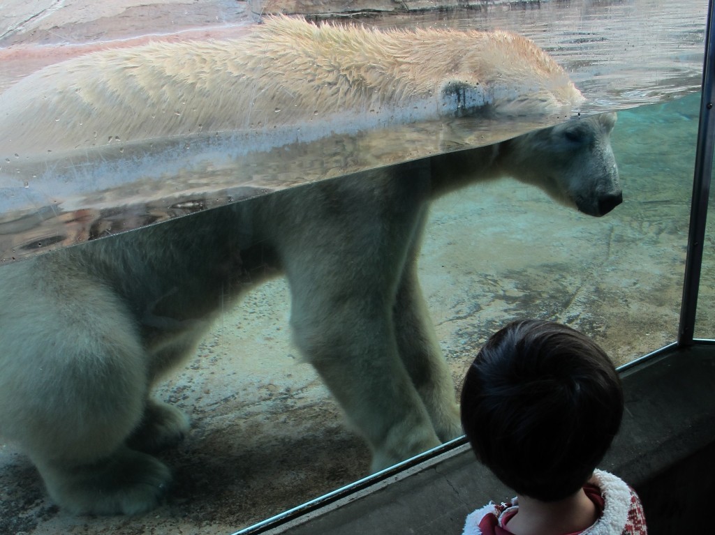 IMG_2971a
