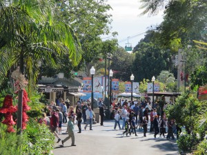 IMG_5511