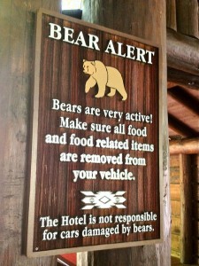 Bear-Warning1-225x300