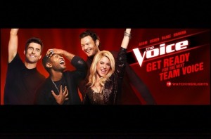 voice