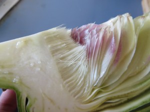 IMG_8838