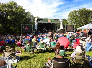jazz in the woods