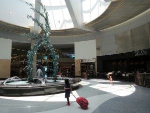 IMG_3735