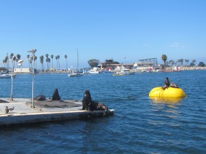 IMG_0832a