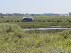 IMG_2100