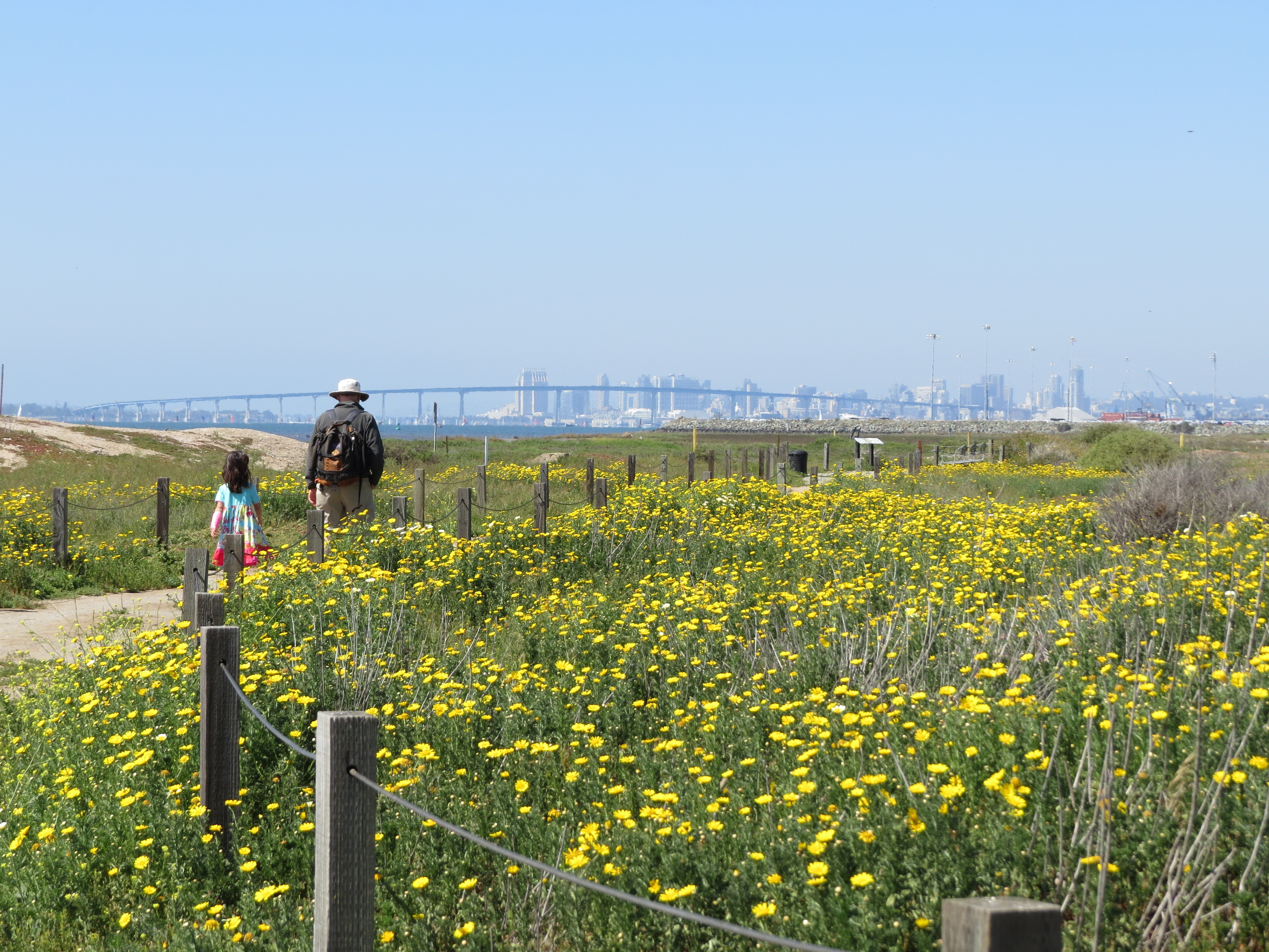 サンディエゴの穴場! The Living Coast Discovery Center