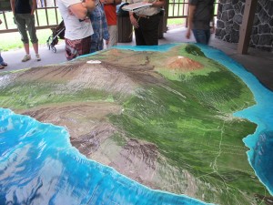 IMG_1878
