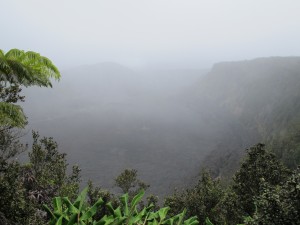 IMG_1921 (2)