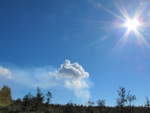 IMG_3332