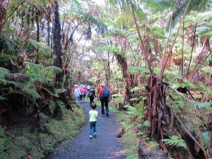 IMG_3356