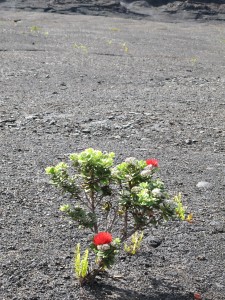 IMG_3389