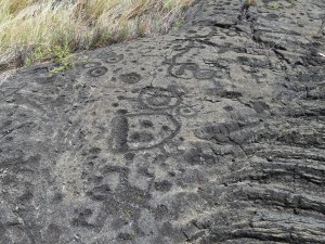 IMG_3742 (2)