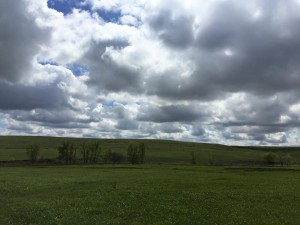Flint hills bright