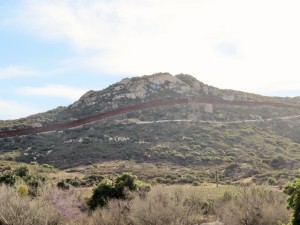 IMG_3279 (2)