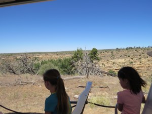 IMG_2860a