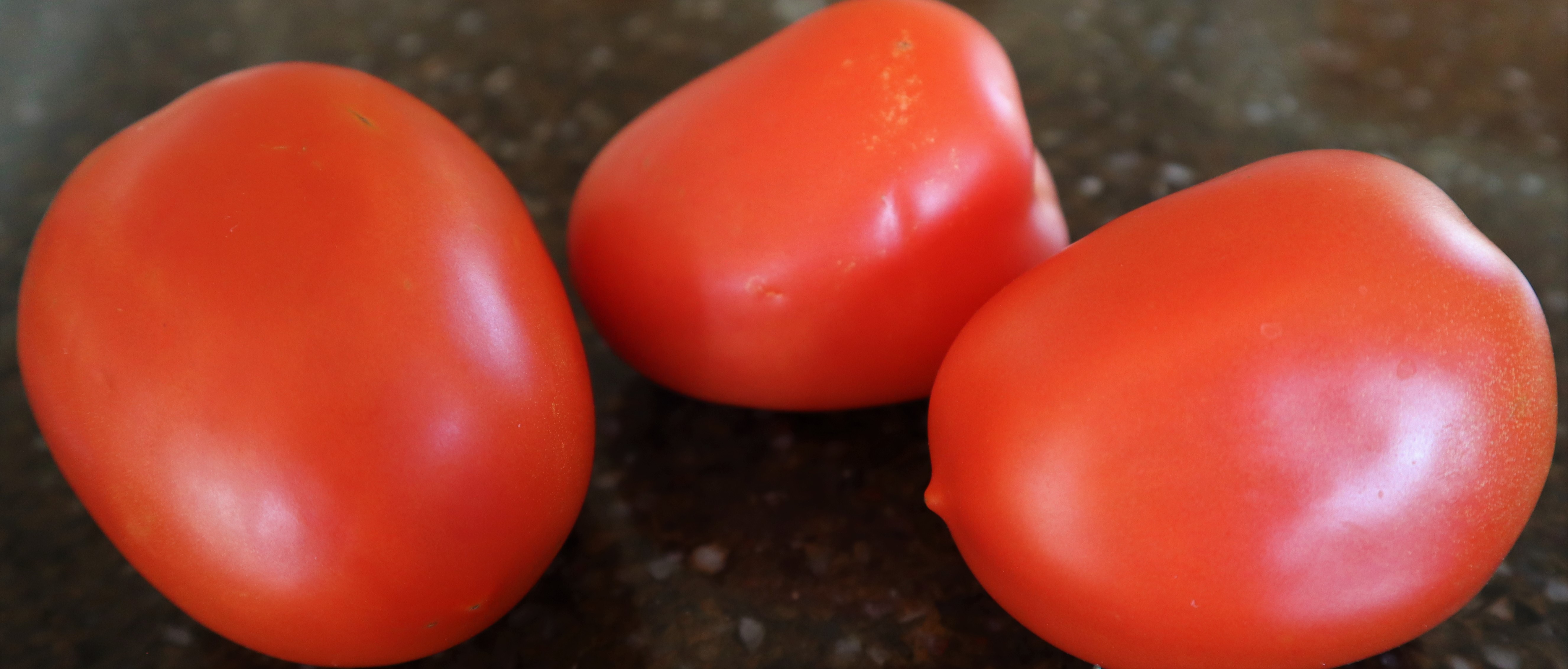 アメリカの食材を食べる!20【ローマトマト🍅】