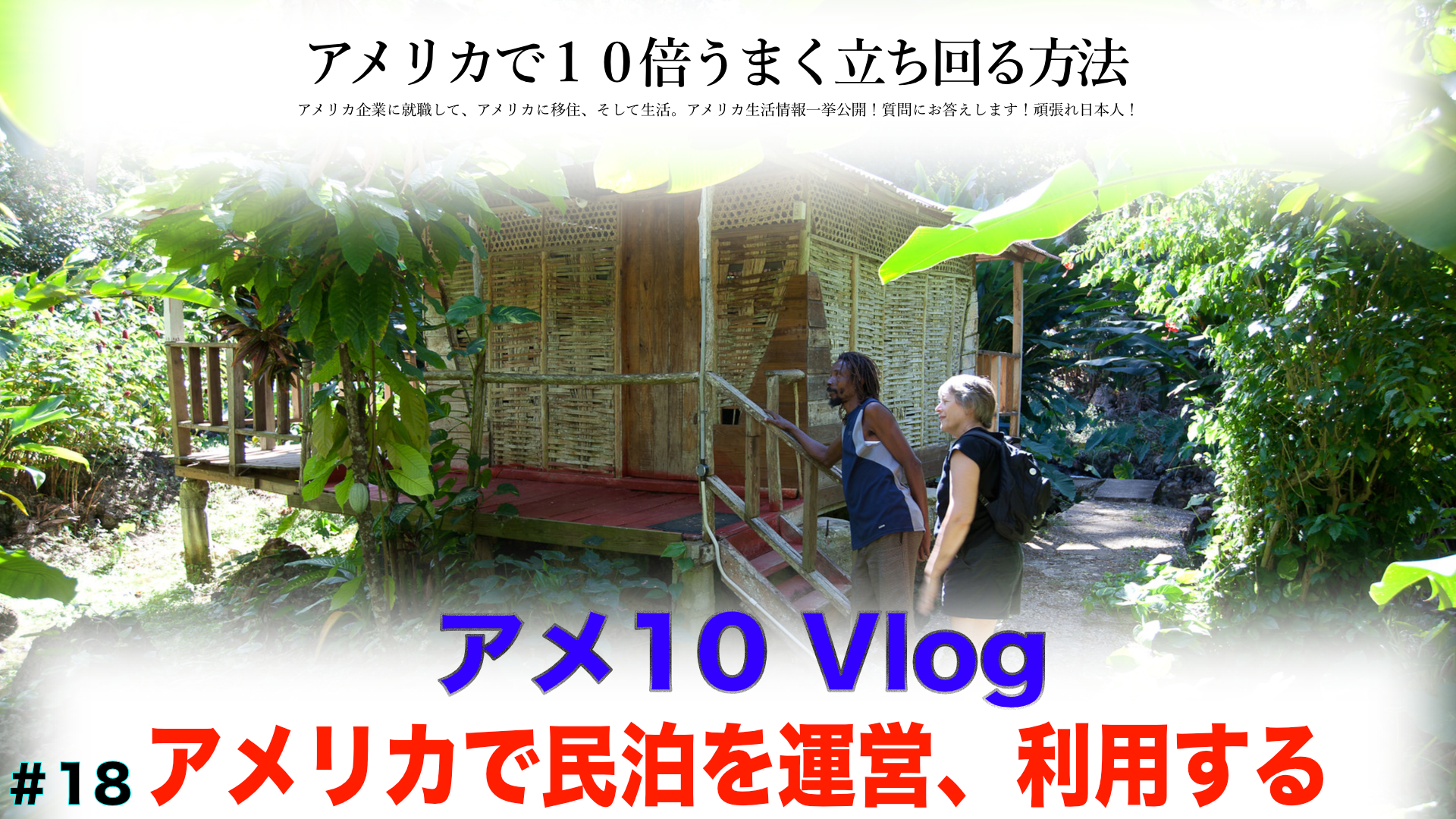 【アメ10 Vlog】アメリカで民泊運営、利用