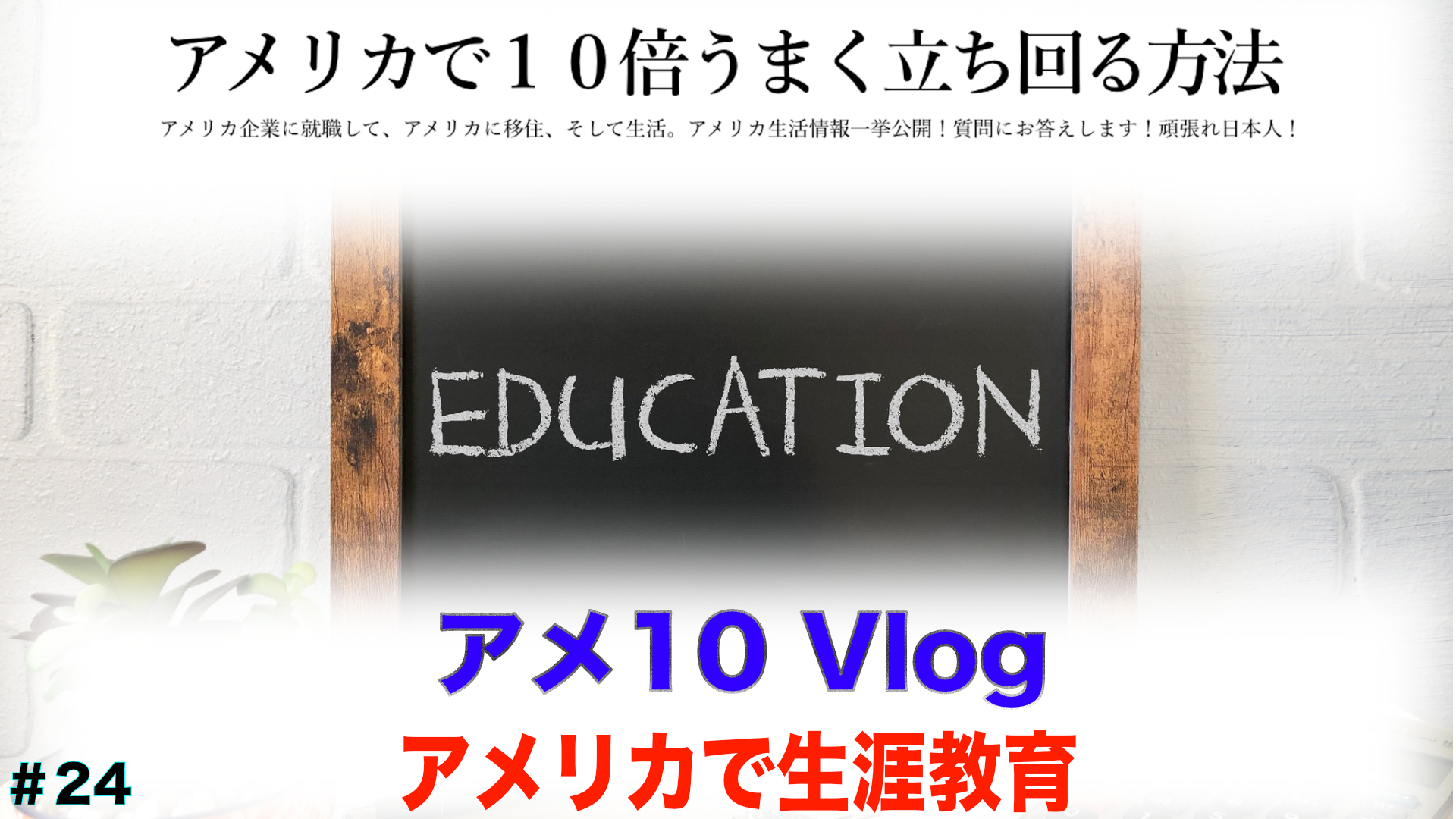 【アメ10 Vlog】アメリカで生涯教育